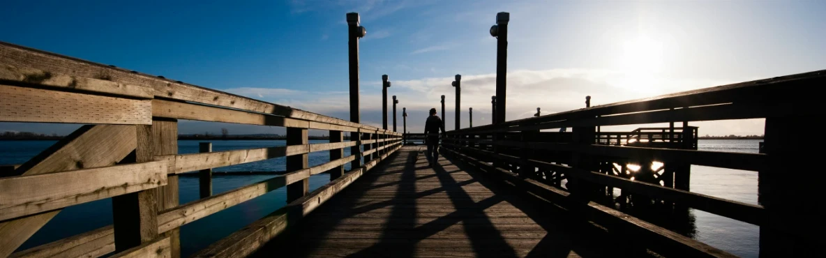 Fun Things To Do In Williams Lake