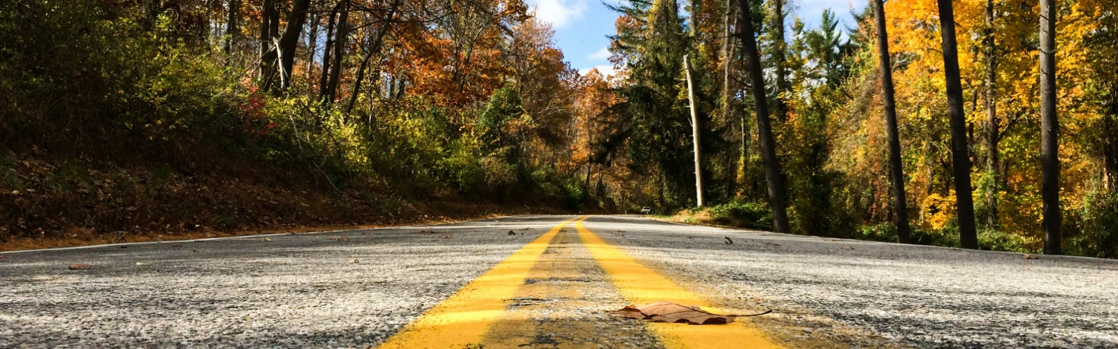 What to Do in Williams Lake