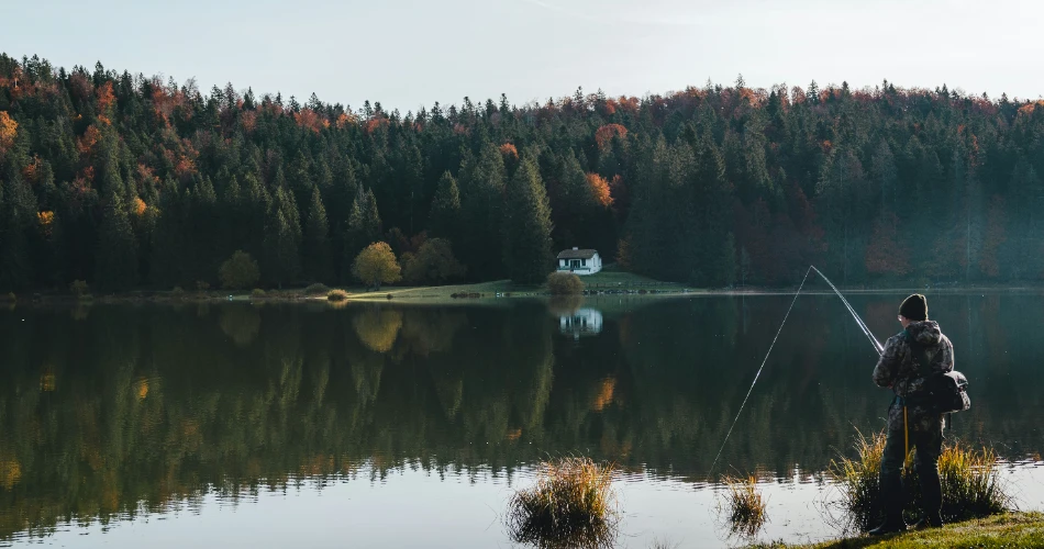 Top 10 Things to Do in Williams Lake