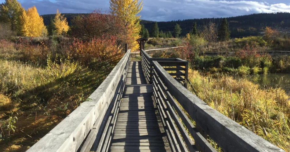 Best 10 Things to Do in Williams Lake
