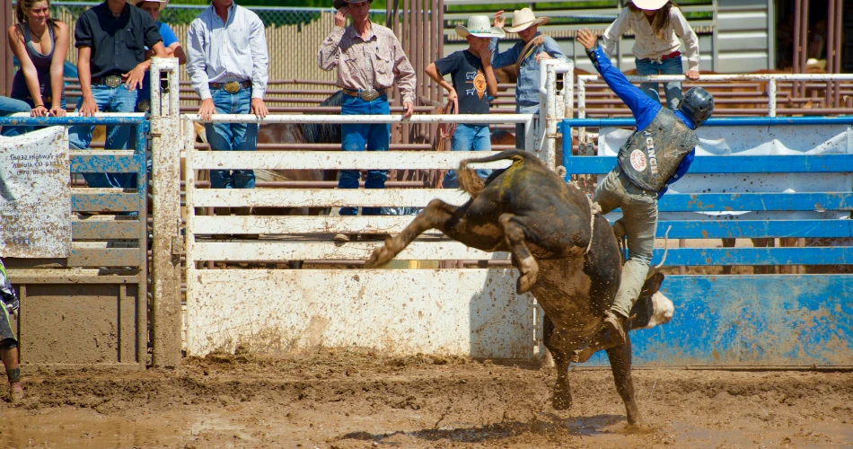 Best 10 Things to Do in Williams Lake