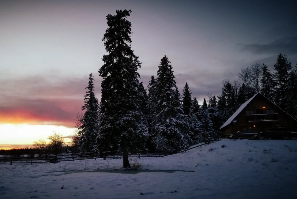 Discover Williams Lake, BC: An Introduction to the City and its Weather