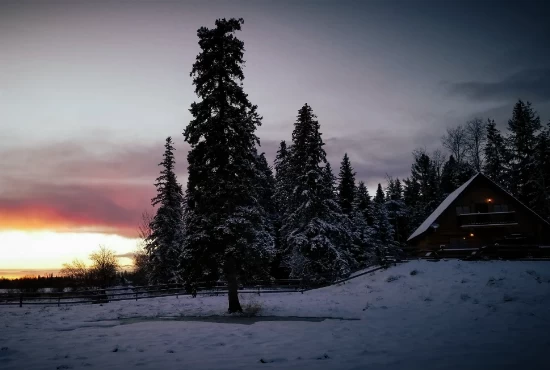 Discover Williams Lake, BC: An Introduction to the City and its Weather